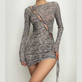 Zebra print hollow out irregular long sleeve sheer mesh see through mini dress | samba dress