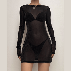Long sleeve sheer mesh glitter mini dress | samba dress