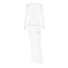 Long sleeve sheer mesh zip-up stitch maxi dress | samba dress