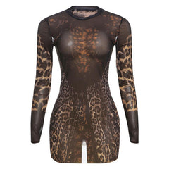 Crewneck long sleeve leopard print mesh mini dress
