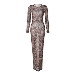 Long sleeve leopard print crewneck sheer mesh maxi dress | samba dress
