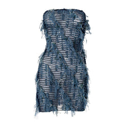 Sheer mesh textured stitch tube mini dress | samba dress
