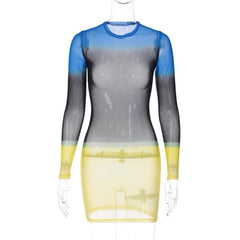 Contrast sheer mesh see through long sleeve crewneck mini dress | samba dress