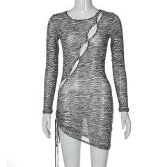 Zebra print hollow out irregular long sleeve sheer mesh see through mini dress | samba dress
