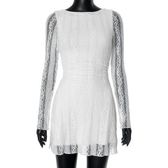 Crewneck long sleeve lace mini dress