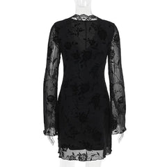 V neck long sleeve flower pattern mesh mini dress