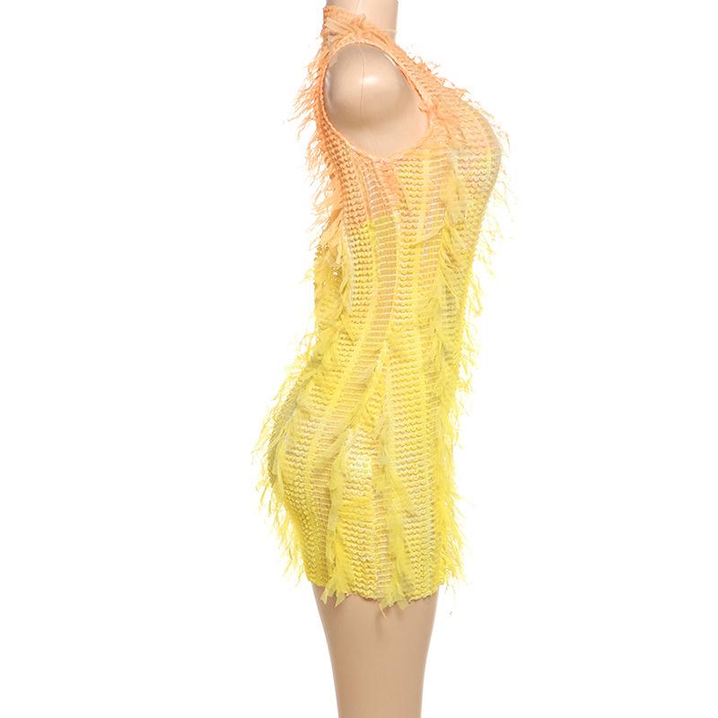 Crewneck hollow out see through gradient tassels mini dress