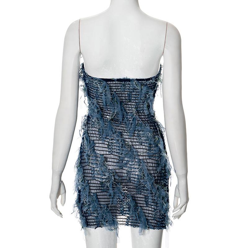 Sheer mesh textured stitch tube mini dress  | samba dress
