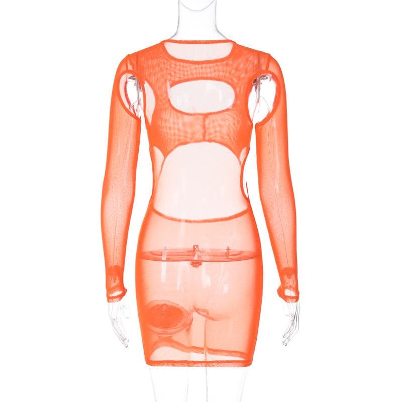 Long sleeve hollow out sheer mesh see through mini dress  | samba dress