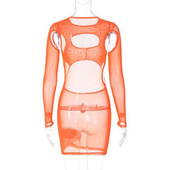 Long sleeve hollow out sheer mesh see through mini dress  | samba dress