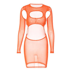 Long sleeve hollow out sheer mesh see through mini dress  | samba dress