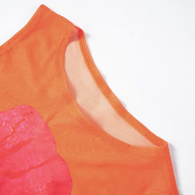 Sleeveless crewneck flower print sheer mesh maxi dress  | samba dress