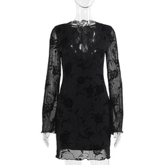 V neck long sleeve flower pattern mesh mini dress
