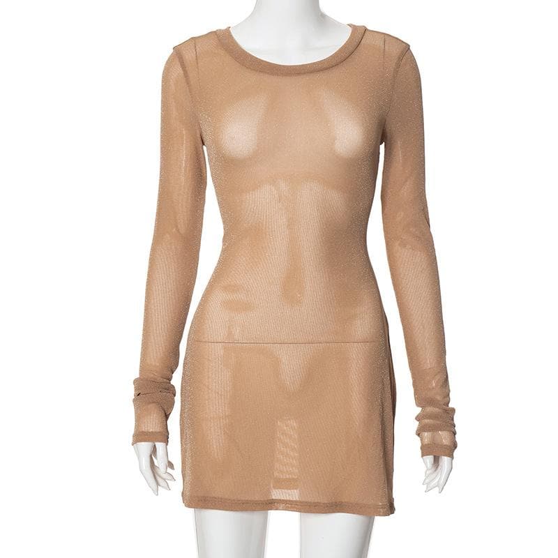 Long sleeve sheer mesh glitter mini dress  | samba dress