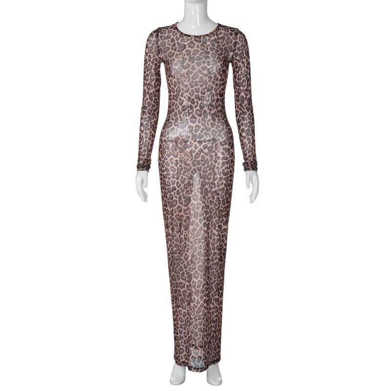Long sleeve leopard print crewneck sheer mesh maxi dress  | samba dress