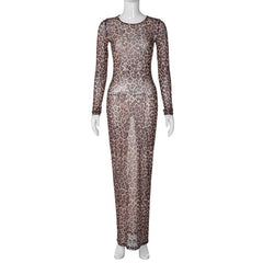 Long sleeve leopard print crewneck sheer mesh maxi dress  | samba dress