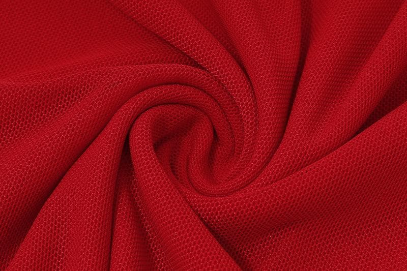 Long flared sleeve one shoulder ruffle flower applique mesh mini dress  | red tango dress