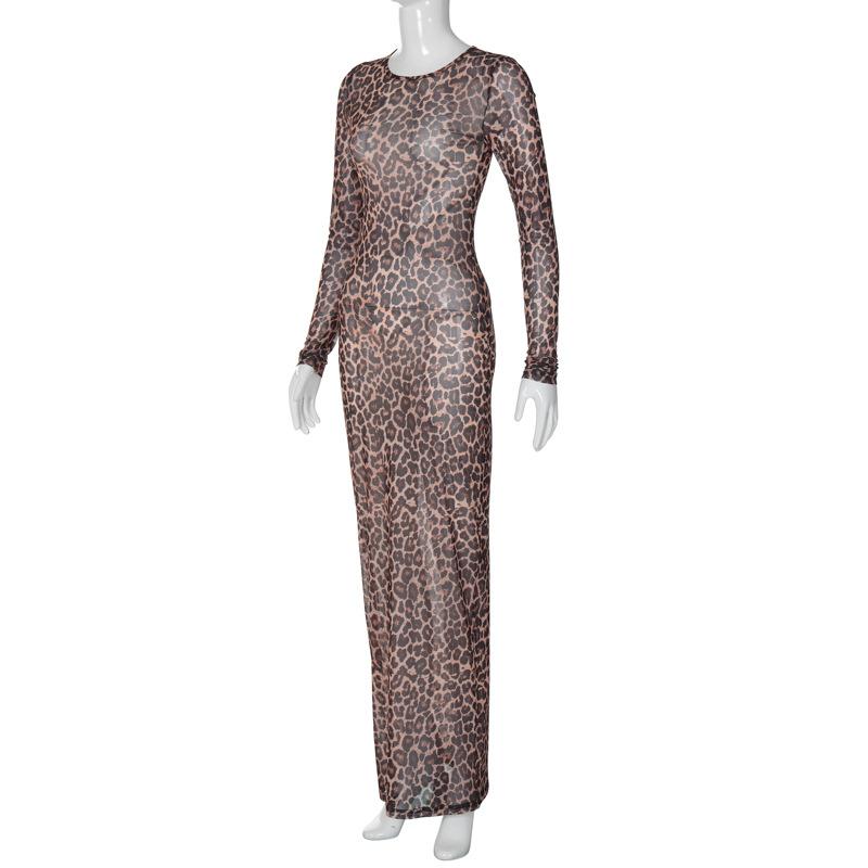 Long sleeve leopard print crewneck sheer mesh maxi dress  | samba dress