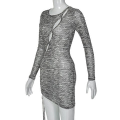 Zebra print hollow out irregular long sleeve sheer mesh see through mini dress  | samba dress