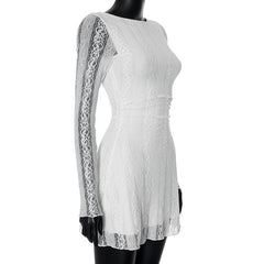 Crewneck long sleeve lace mini dress