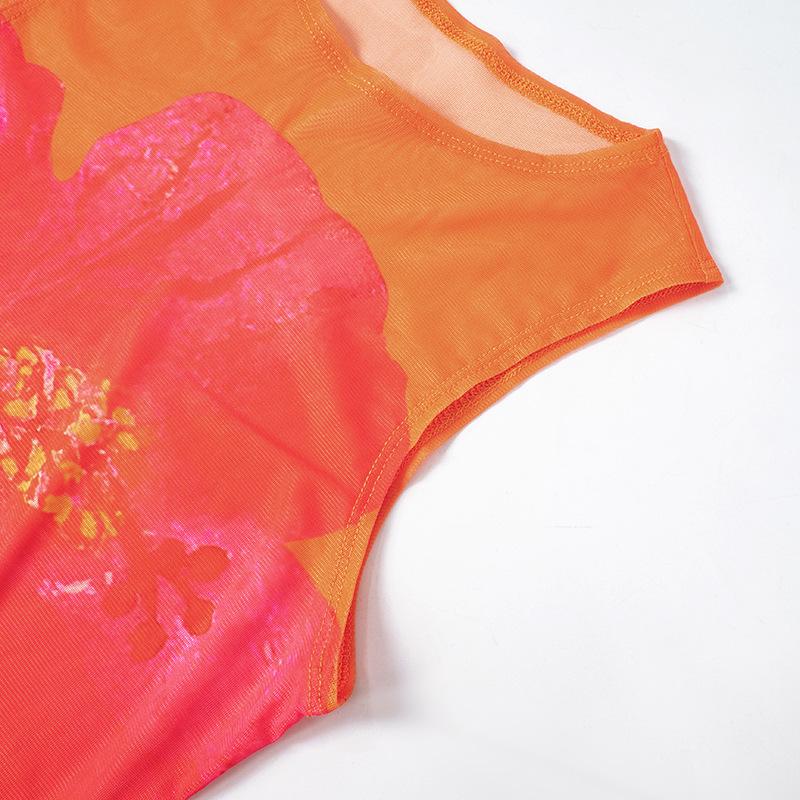 Sleeveless crewneck flower print sheer mesh maxi dress  | samba dress