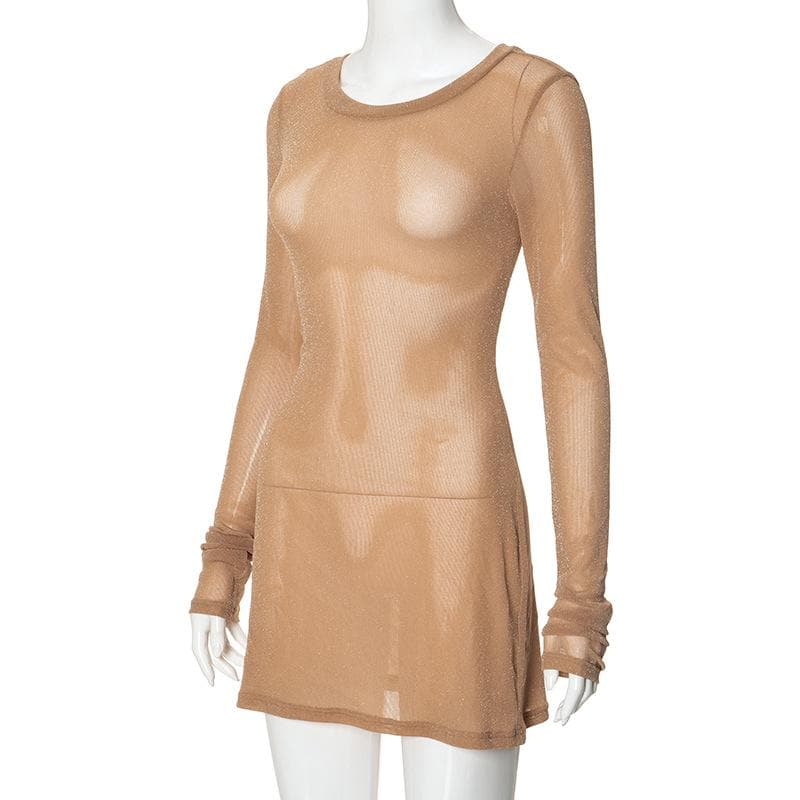 Long sleeve sheer mesh glitter mini dress  | samba dress