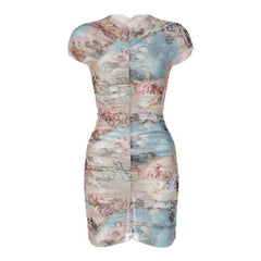Sheer mesh see through abstract ruched short sleeve contrast mini dress  | samba dress