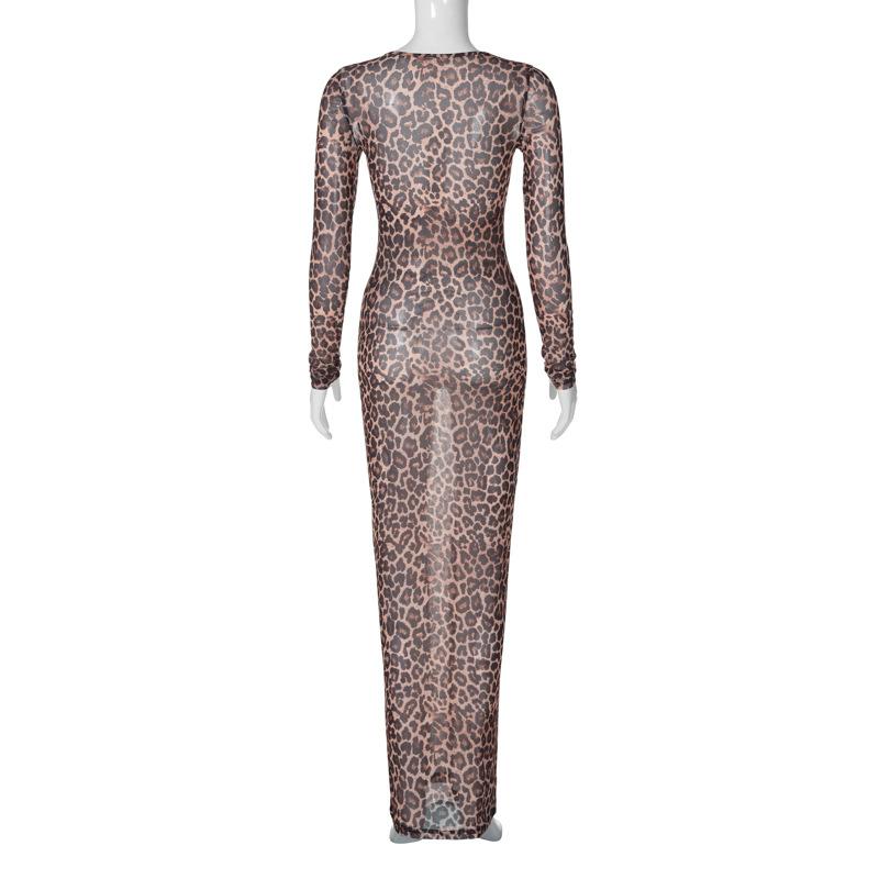 Long sleeve leopard print crewneck sheer mesh maxi dress  | samba dress