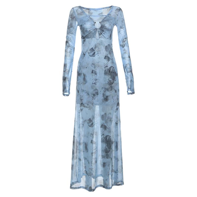 Long sleeve sheer mesh v neck print maxi dress  | samba dress