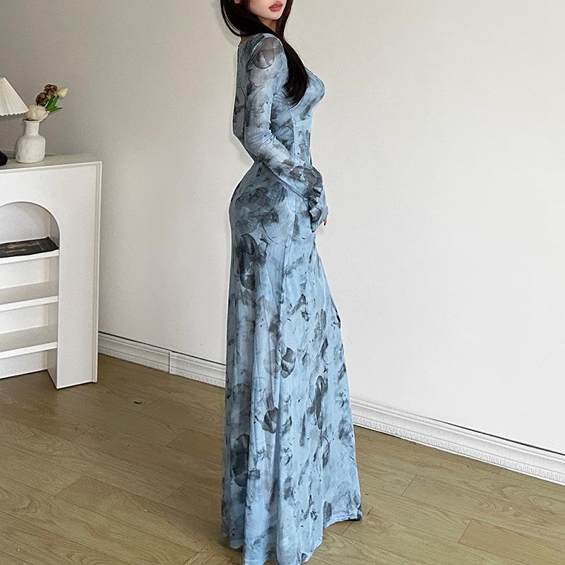 Long sleeve sheer mesh v neck print maxi dress  | samba dress