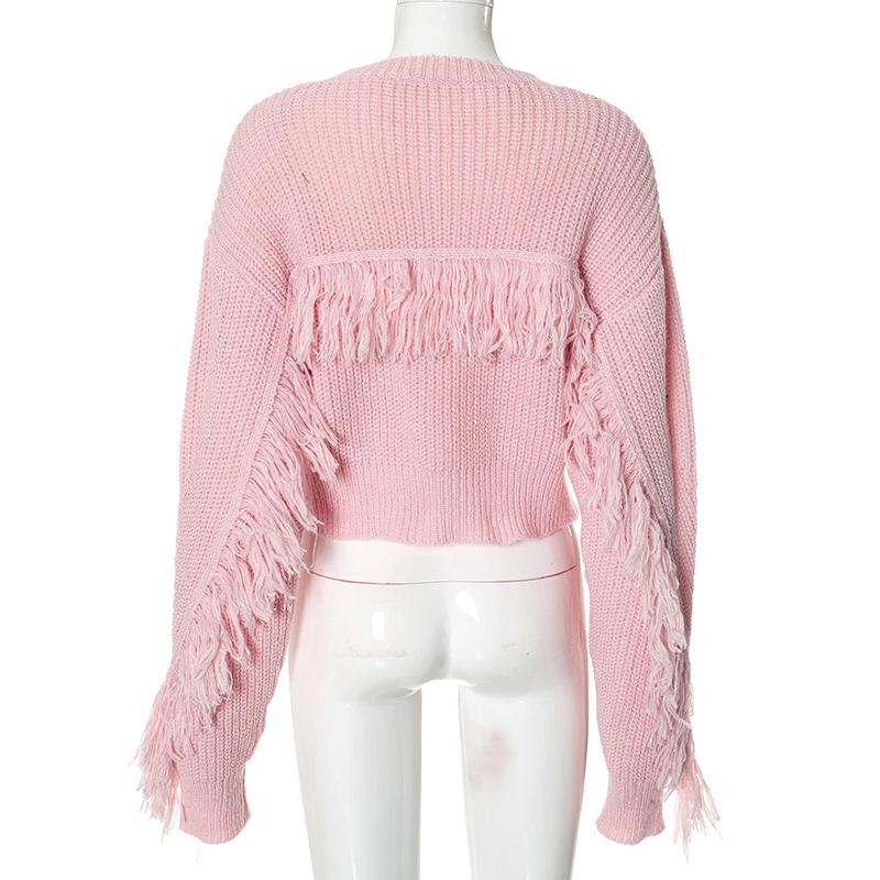 Long sleeve crewneck tassels knitted top