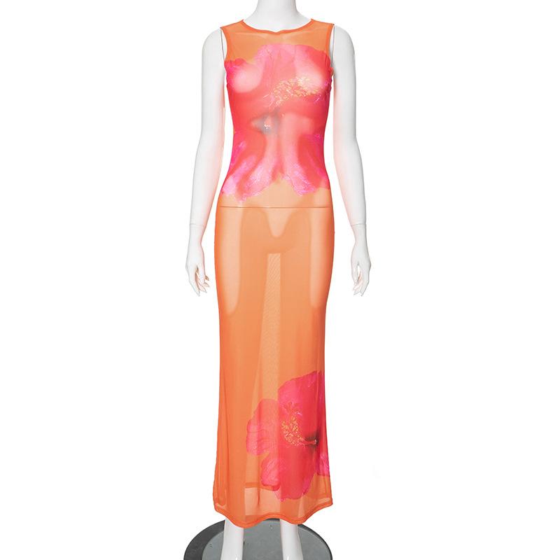 Sleeveless crewneck flower print sheer mesh maxi dress  | samba dress
